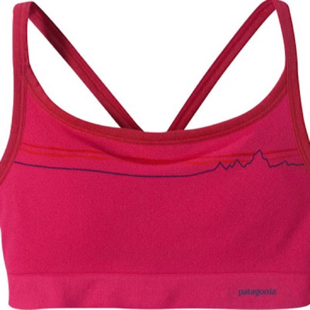 Patagonia Sports Bra